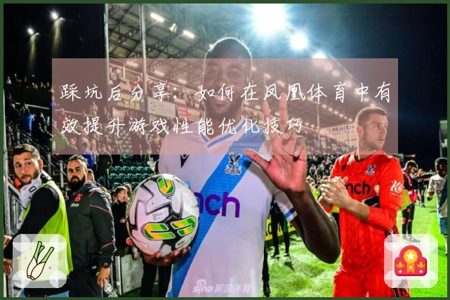 踩坑后分享：如何在凤凰体育中有效提升游戏性能优化技巧