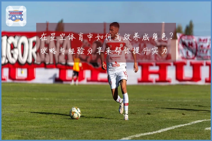 在星空体育中如何高效养成角色？攻略与经验分享来帮你提升实力