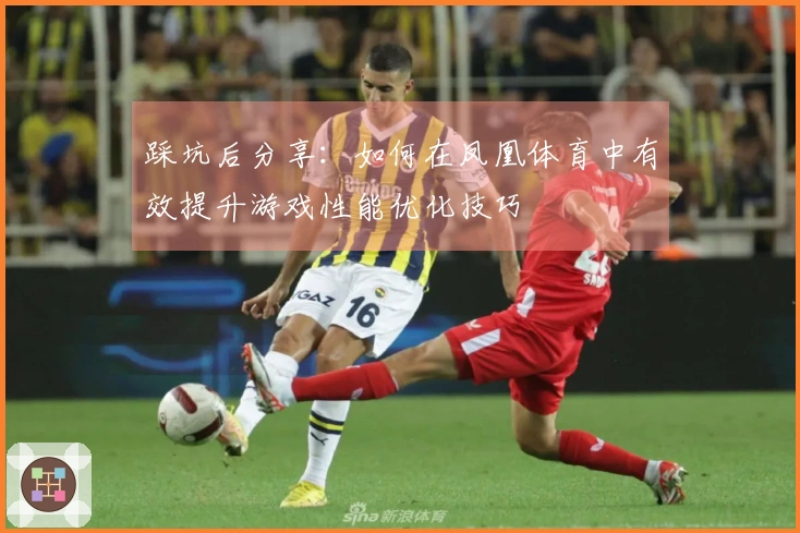 踩坑后分享：如何在凤凰体育中有效提升游戏性能优化技巧