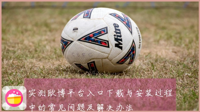 实测欧博平台入口下载与安装过程中的常见问题及解决办法